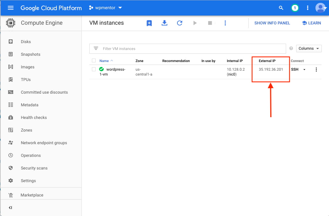 Get External IP of Google Compute Engine Instance